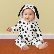 perrito dalmata talla 4 meses